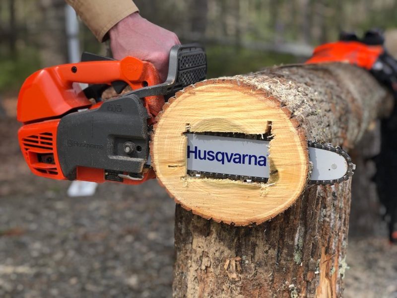 Best gas chainsaw for cutting tree